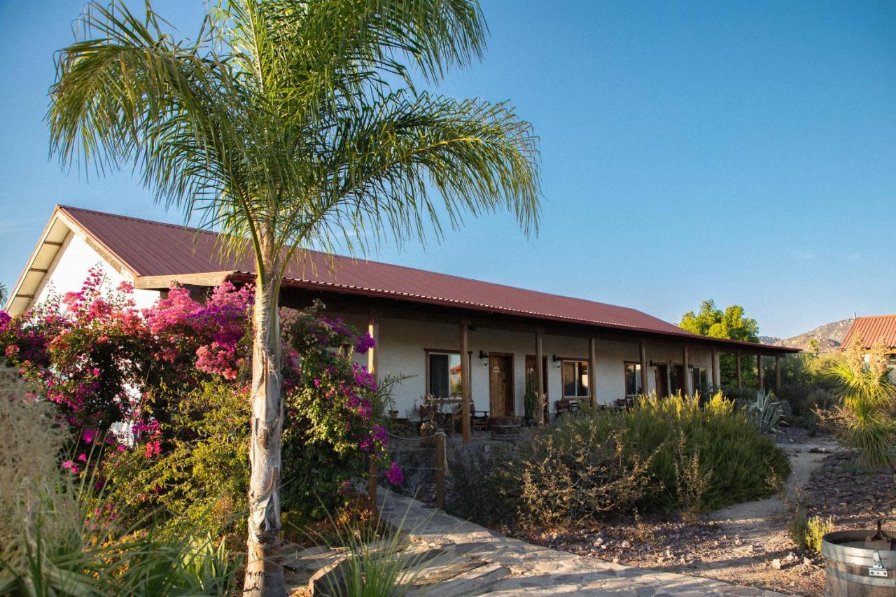 Terra Del Valle Bed & Breakfast Valle de Guadalupe Exterior photo