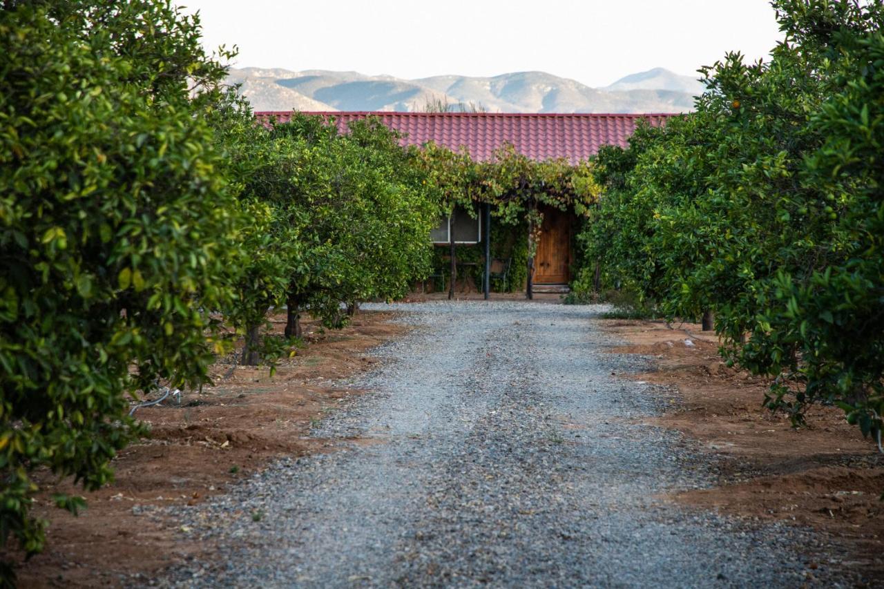 Terra Del Valle Bed & Breakfast Valle de Guadalupe Exterior photo